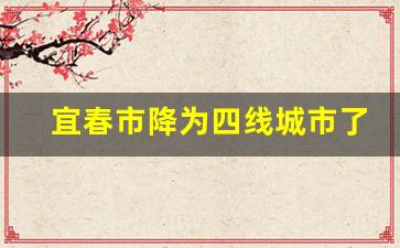 宜春市降为四线城市了_上饶可能成为二线城市吗