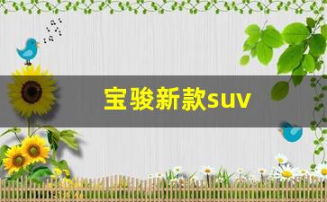 宝骏新款suv