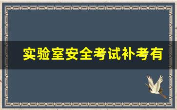 实验室安全考试补考有什么影响_实验室安全包括哪些方面