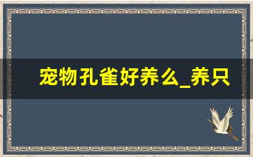 宠物孔雀好养么_养只孔雀当宠物可以吗