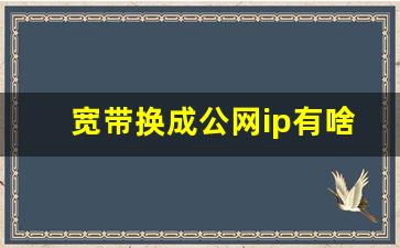 宽带换成公网ip有啥好处_不给公网ip合理吗