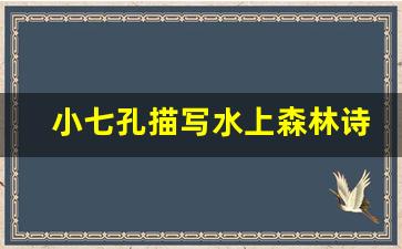 小七孔描写水上森林诗句_赞美小七孔