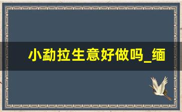 小勐拉生意好做吗_缅甸饭店生意好做吗