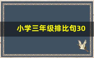 小学三年级排比句30个