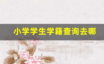 小学学生学籍查询去哪里_河北省中小学学籍系统登录网站