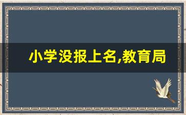 小学没报上名,教育局给安排吗