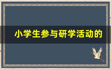 小学生参与研学活动的好处_学校的研学活动有什么好处