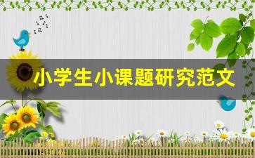 小学生小课题研究范文_小学教育课题研究报告范文