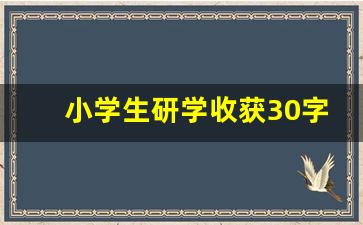 小学生研学收获30字_小学生研学之旅感悟心得