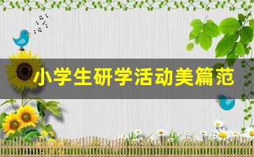 小学生研学活动美篇范文