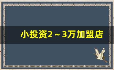 小投资2～3万加盟店