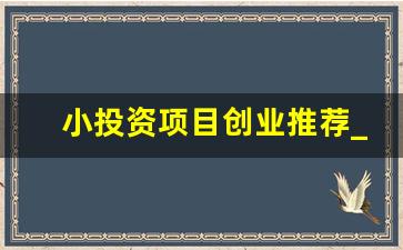 小投资项目创业推荐_小投资2～3万加盟店