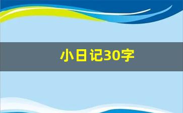 小日记30字