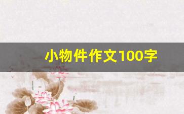 小物件作文100字