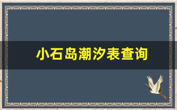 小石岛潮汐表查询