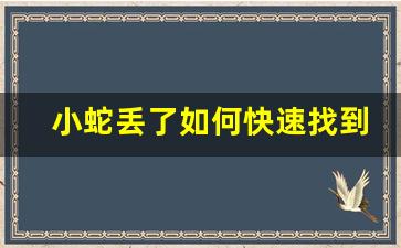 小蛇丢了如何快速找到