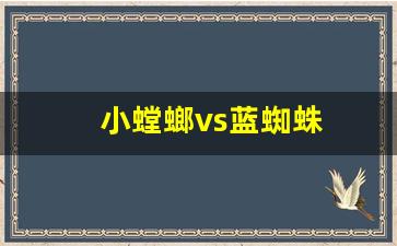 小螳螂vs蓝蜘蛛