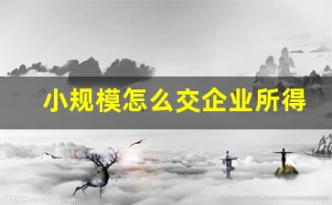 小规模怎么交企业所得税_小规模企业所得税申报时间