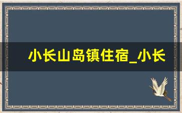 小长山岛镇住宿_小长山岛农家院那家好