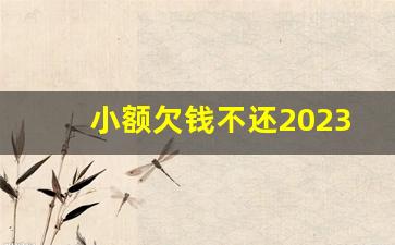 小额欠钱不还2023新执行办法