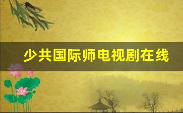 少共国际师电视剧在线观看