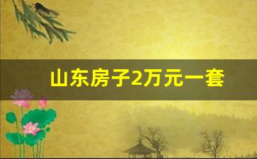 山东房子2万元一套