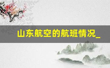 山东航空的航班情况_山航最新国际航班计划发布