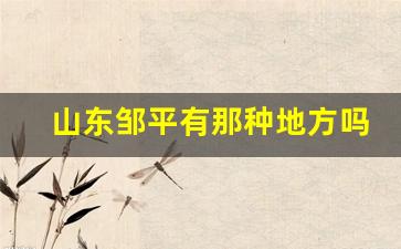 山东邹平有那种地方吗_东马各庄村200一次