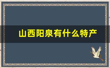 山西阳泉有什么特产