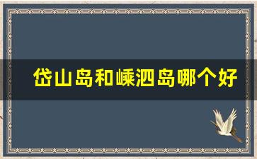 岱山岛和嵊泗岛哪个好玩