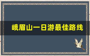 峨眉山一日游最佳路线安排_乐山一日游最佳路线图