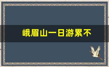 峨眉山一日游累不