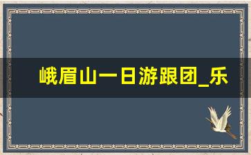 峨眉山一日游跟团_乐山和峨眉山先玩哪个