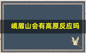 峨眉山会有高原反应吗_峨眉山可以全程缆车吗