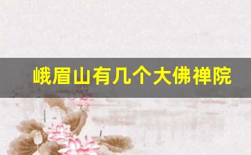 峨眉山有几个大佛禅院_峨眉山大佛禅寺介绍