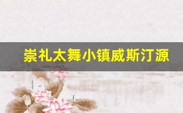 崇礼太舞小镇威斯汀源宿酒店_崇礼太舞小镇攻略