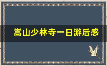 嵩山少林寺一日游后感_少林寺半天可以玩完吗