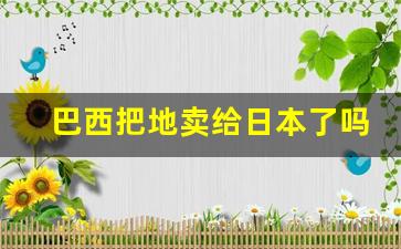 巴西把地卖给日本了吗_巴西日本土地面积多大