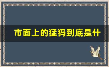 市面上的猛犸到底是什么