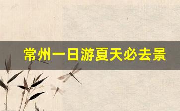 常州一日游夏天必去景点_苏州一日游最佳地方