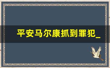 平安马尔康抓到罪犯_一般犯罪抓后多久判刑