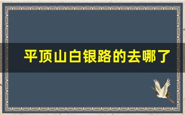 平顶山白银路的去哪了_2021年平顶山白银路