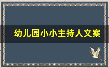 幼儿园小小主持人文案