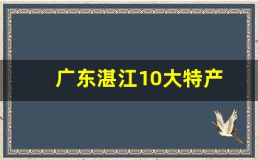 广东湛江10大特产