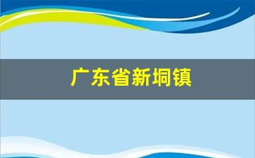 广东省新垌镇