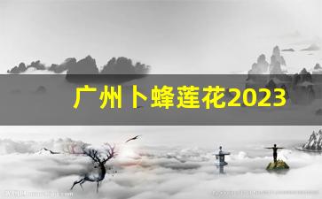 广州卜蜂莲花2023现状