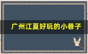 广州江夏好玩的小巷子_广州有哪些小巷子营业了