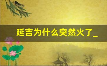 延吉为什么突然火了_延吉韩国商品一条街在哪