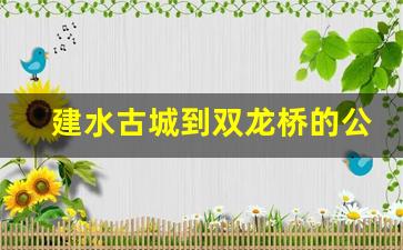 建水古城到双龙桥的公交