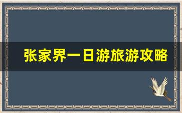 张家界一日游旅游攻略_张家界旅游攻略必去景点